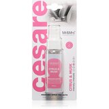Mr & Mrs Fragrance Cesare Citrus & Musk osvežilec zraka za v avto 50 ml Cene