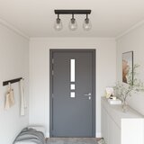 vidaXL Crna, Prozirna Metal, Staklo Srednje Moderno Tavan reflektor Cijene