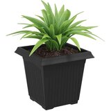  Kvadratna cvetlična posoda 24 pcs Črna 16 x 16 x 14 cm Plastika, (5000207503) | Shoptok.si