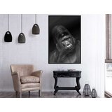  Poster - Intelligent Gaze 30x45 | shoptok.hr