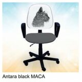  dečija stolica antara black maca Cene