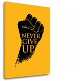  Motivaciona slika na platnu Never give up (moderne slike sa) Cijene