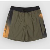 Quiksilver Everyday Holmes Volley 16 Kids Boardshorts grape leaf holmes Cene