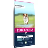 Eukanuba Grain Free Adult Small & Medium Breed jagnjetina - Varčno pakiranje: 2 x 12 kg