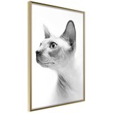  Poster - Sphinx 20x30 | shoptok.hr
