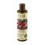 ECO LABORATORIE šampon za kosu sa arganovim uljem i vitaminom c, obnavljanje oštećene i obojene Cene