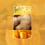 Yankee Candle Starfruit & Sunshine viseći auto miris 1 kom | shoptok.hr