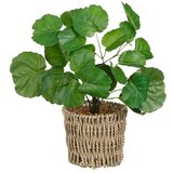  Umjetna biljka Fikus (Ø x V: 12 x 33 cm, Plastika) Cijene
