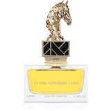 Aurora In The Nowhere Land parfumska voda uniseks 100 ml | Shoptok.si