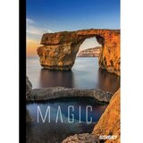 STREET Zvezek trdi Maxi A4 mali karo | Shoptok.si