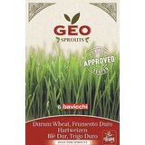 Bavicchi Bio kalčki "durum pšenica" Cene