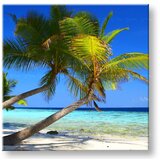  Slike na platnu plaže (moderne slike na platnu) | ePonuda.com