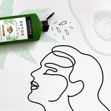 John Frieda Detox & Repair šampon za regeneracijo suhih in poškodovanih las 250 ml za ženske | Shoptok.si