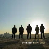 Native Sons - Indie
