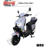 Colossus Elektični bicikl srebrni WAU | Eponuda.com