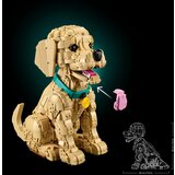 Lego LEGO® Icons - Mladiček zlatega prinašalca (11384) | Shoptok.si