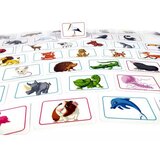  Družabna igra Živali, Concept Kids, navodila v madžarščini | Shoptok.si
