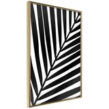  Poster - Black Palm 30x45 Cijene