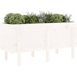  Povišena vrtna gredica bijela 121 x 50 x 57 cm masivna borovina | Eponuda.ba