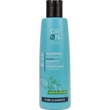 GRN [GRÜN] Anti-Dandruff Shampoo Nettle & Sea Salt Cene