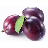  Šljiva 1kg Cene