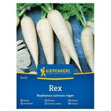 KIEPENKERL Zelenjavna semena Redkvica Rex (Raphanus sativus var. niger, Čas žetve: Marec) Cene