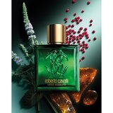 Roberto Cavalli Uomo Verde Assoluto parfumska voda za moške 100 ml | Shoptok.si