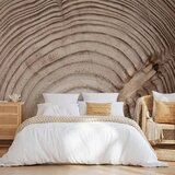  Foto tapeta - Wood grain 250x175 Premium | shoptok.hr