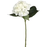 MICA HORTENZIJA BELA- L51CM | Shoptok.si