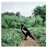 WALLXPERT decorative object figura bird 02 | ePonuda.com