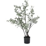 EUKALIPTUS 82CM U SAKSIJI PVC BIZZOTTO Cijene