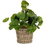  Umjetna biljka Pilea (Ø x V: 12 x 33 cm, Plastika) | shoptok.hr