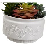Casa Selección Umjetne biljke u setu 2 kom (visina 19 cm) Cactus – | shoptok.hr