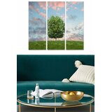 Wallity Set slika MDF895935, 3 dijela | Eponuda.ba