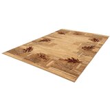 FD Bež/jantarni tepih 170x240 cm Olsza – | shoptok.hr