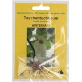 TROPICA Golobje drevo Cene