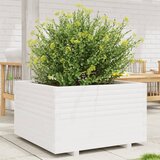 Maison Chic Vrtno cvetlično korito - Cvetlični Lonec belo 80x80x49,5 cm trdna borovina, (21788721) | Shoptok.si