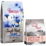 Purizon 12kg Single Meat Adult + 6x 300g Single Meat Adult pačetina gratis! - Losos sa špinatom i cvijetom različka