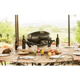 Napoleon Prenosni plinski žar PRO285-BK | Shoptok.si