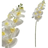 Mondex Cvetna veja plastika Viridis Orhideja 90cm bela 1kos, (5000329480) | Shoptok.si