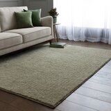 Asiatic Carpets Zelena pralna preproga 160x230 cm Super Snug – | Shoptok.si
