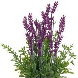Casa Selección Umetna sivka 2 ks (višina 27 cm) – | Shoptok.si