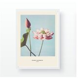 WALLXPERT dekorativna slika flowers Cene