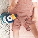 Lilliputiens aktivnostna glasbena ropotuljica tukan pablo | Shoptok.si