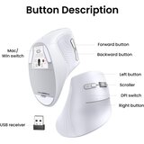 Ugreen bežična ergonomska vertikalna miša s Bluetooth i Wi-Fi vezom - bijela | shoptok.hr