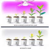  LED sijalica za rast biljaka VITABLOOM E27/40W/230V 1200K - Brilagi | Eponuda.com