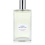 Cremo Spray Cologne Citrus & Mint Leaf toaletna voda za moške 100 ml | Shoptok.si