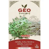 Ekološki kalčki "Lucerna - Alfalfa" - 40 g