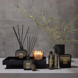 Inscent Dišava Za Prostor Green Lily | Shoptok.si
