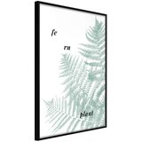 Poster - Pale Green Fern 20x30 Cijene